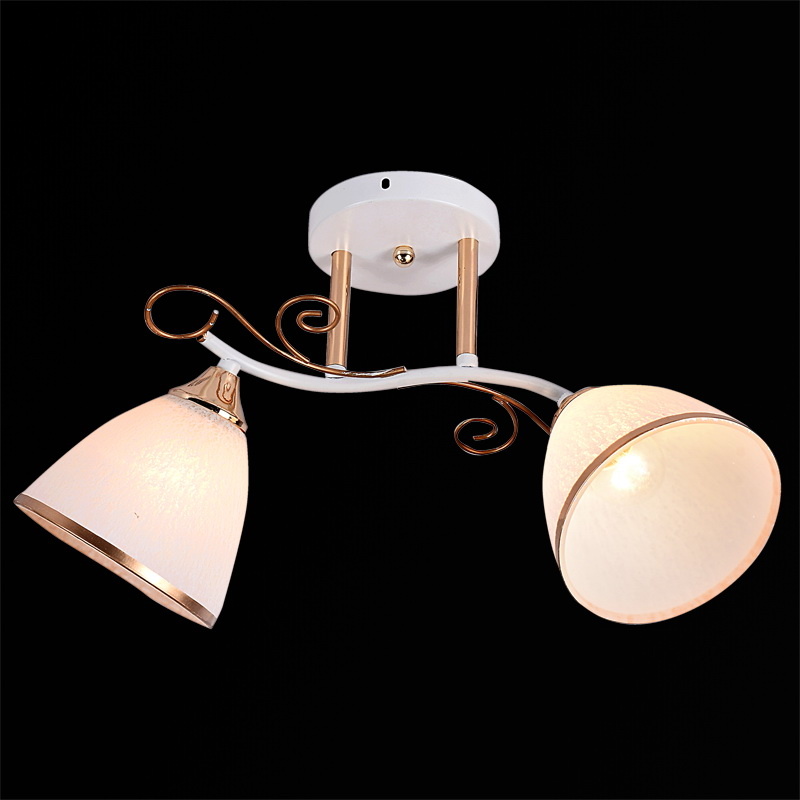 Люстра на штанге Reluce 01017-0.3-02 WH+FGD