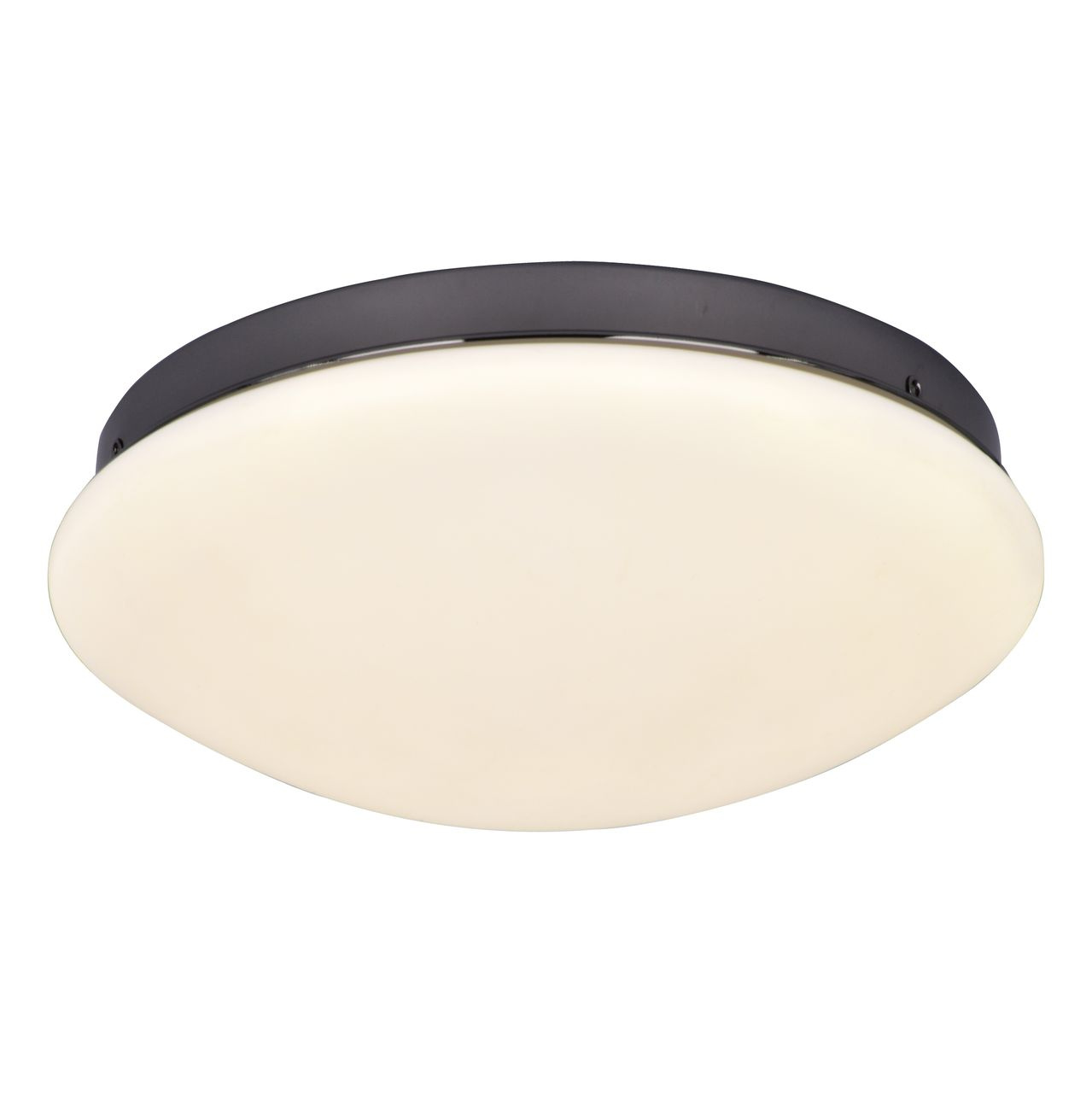 Потолочный светодиодный светильник F-Promo Ledante 2468-2C