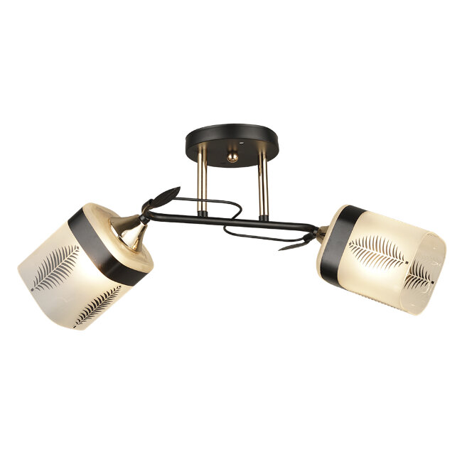 Потолочная люстра Wedo Light Amisa 66733.01.69.02