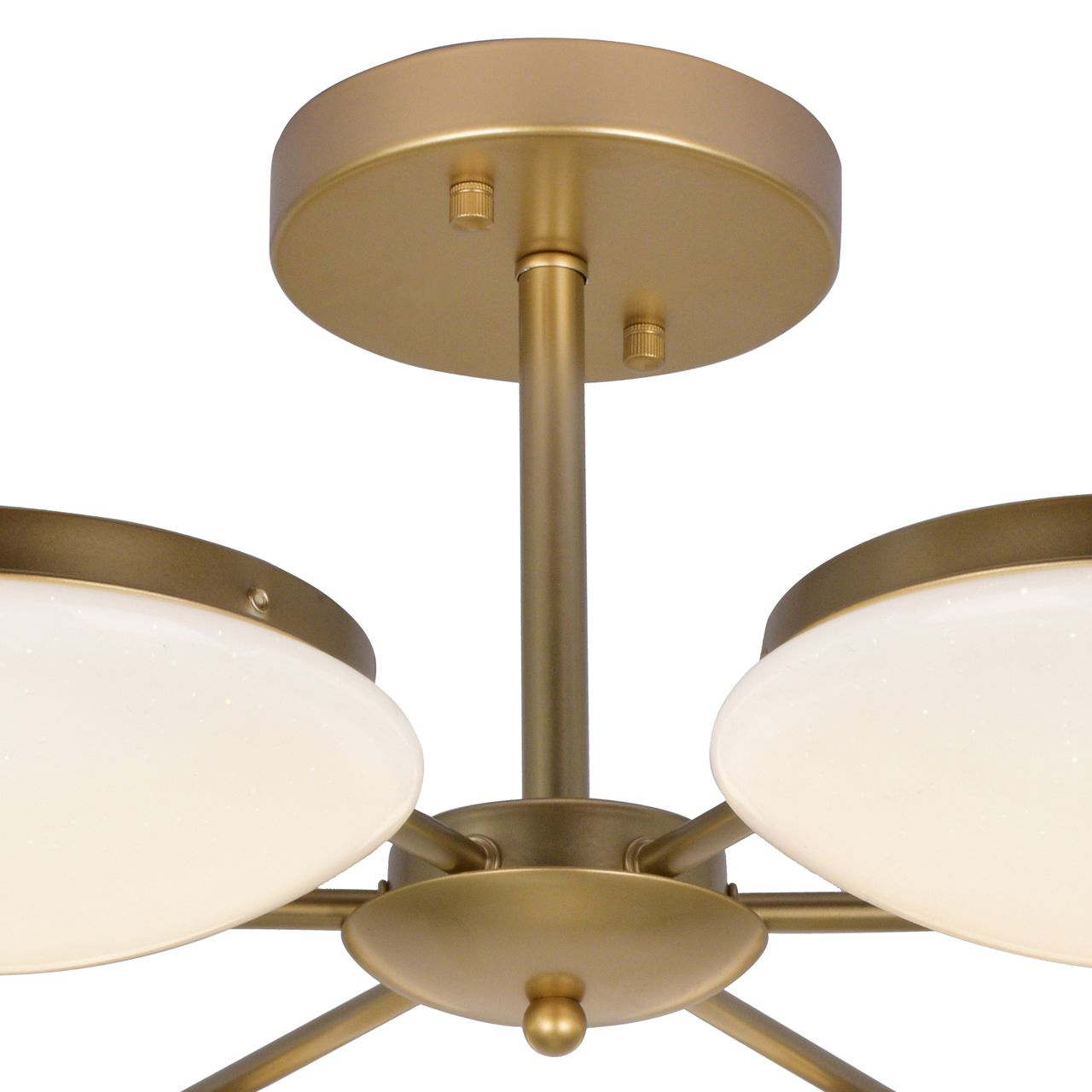 Потолочная светодиодная люстра F-Promo Ledante 2476-6P