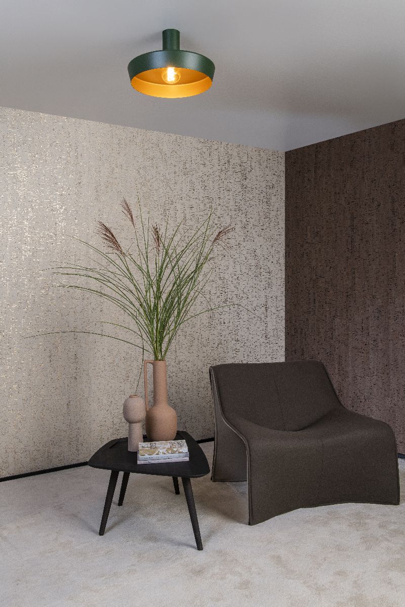 Потолочный светильник Lucide Cardiff 30187/40/33