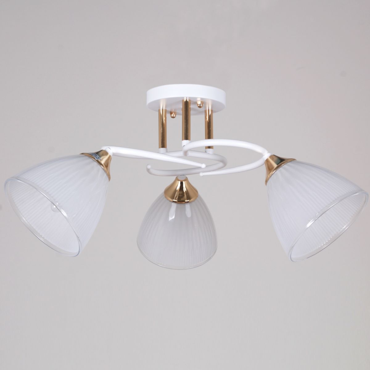 Потолочный светильник Reluce 04360-0.3-03 WH+FG