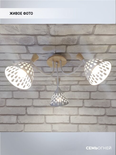 Потолочная люстра Wedo Light Gudi 66656.01.09.03