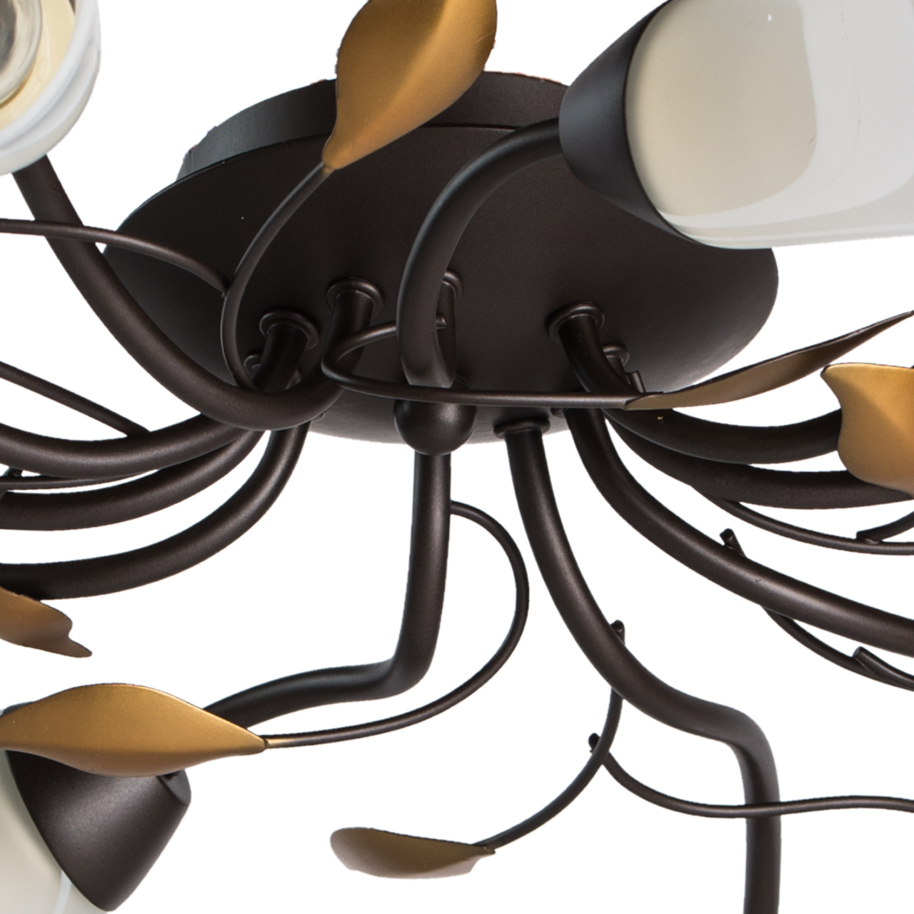 Потолочная люстра MW-Light Восторг 242015410