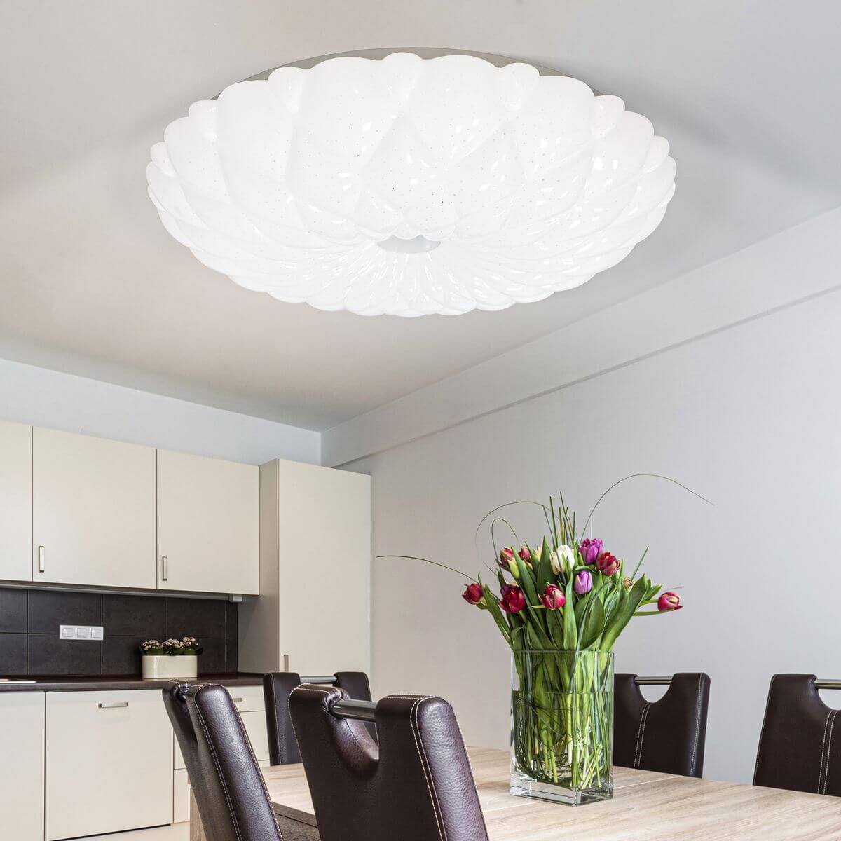 Потолочный светильник ЭРА SPB-6-40 Malo Б0051083