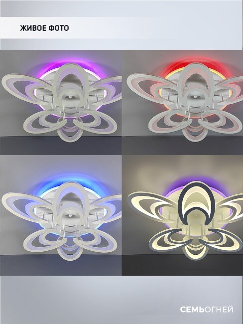 Потолочная люстра Wedo Light Ovaro 75333.01.09.06RGB