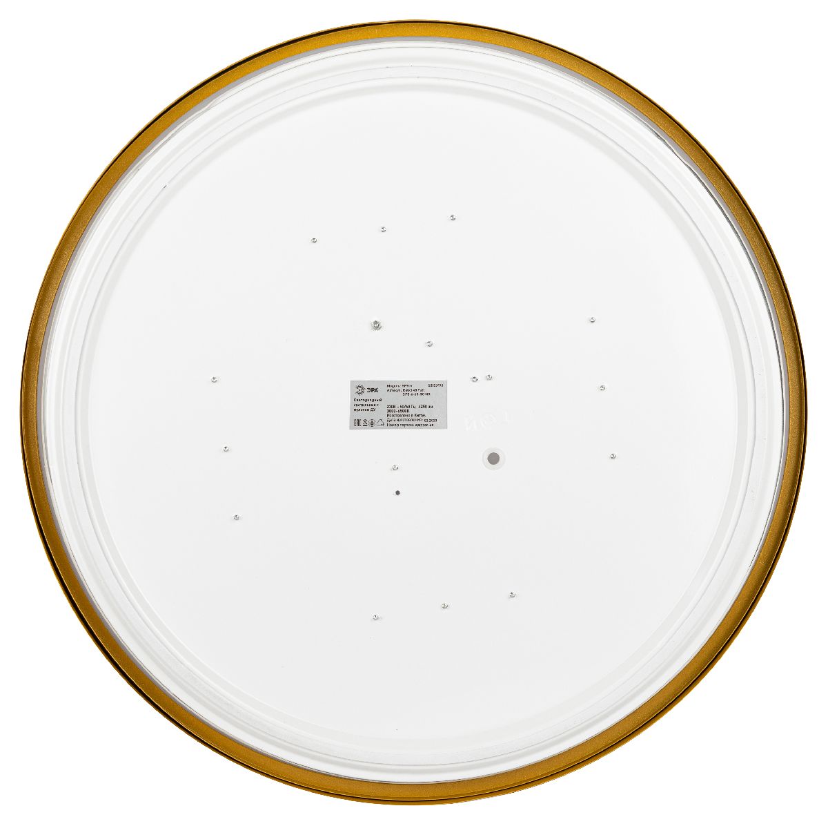 Потолочный светильник Эра Relict 48 Pult SPB-6-60-RC MG Б0059498