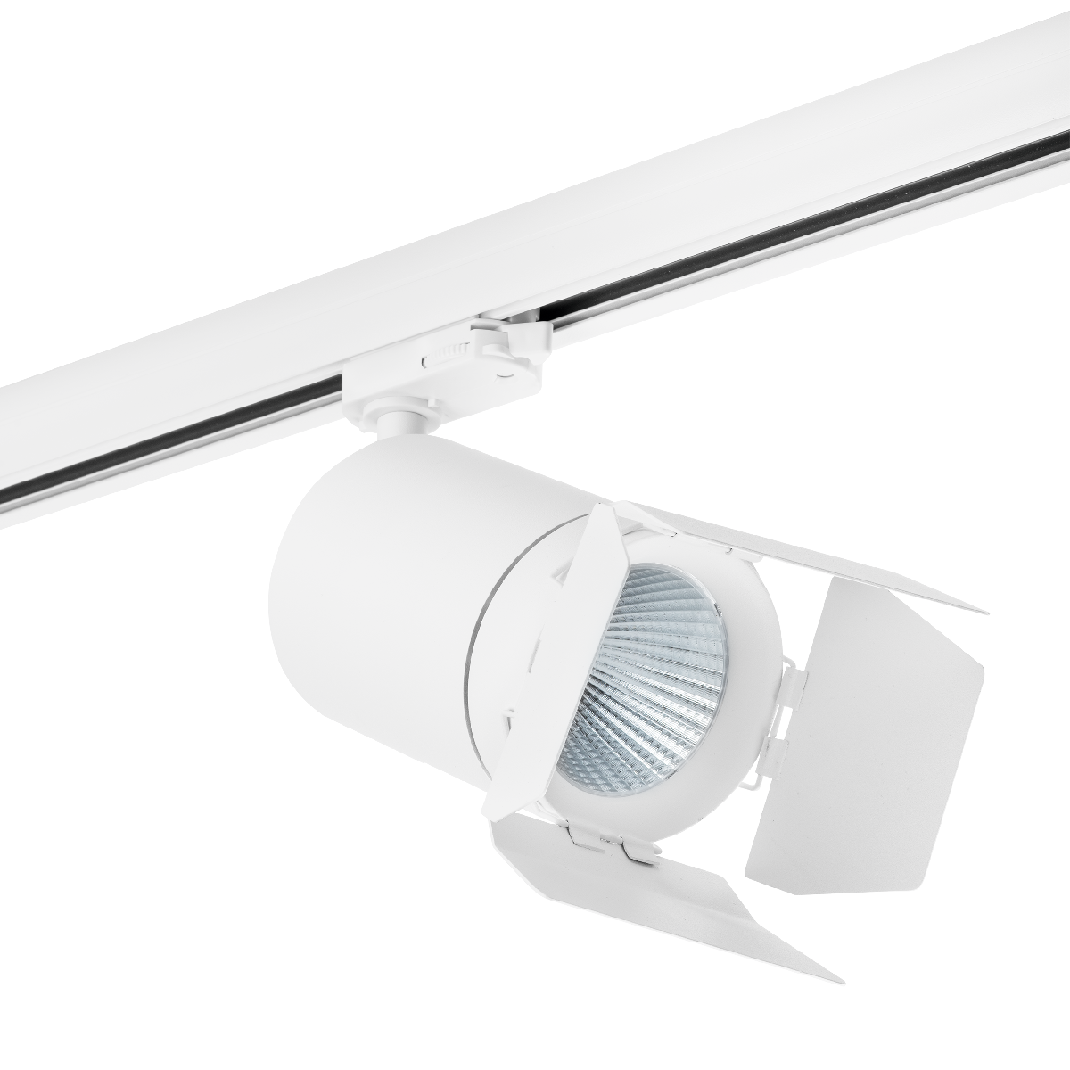 Трековый светильник Lightstar Canno LED (303562+202996) C356296