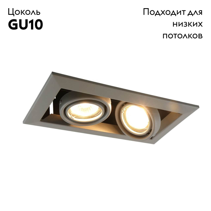 Встраиваемый светильник Arte Lamp Cardani Piccolo A5941PL-2GY