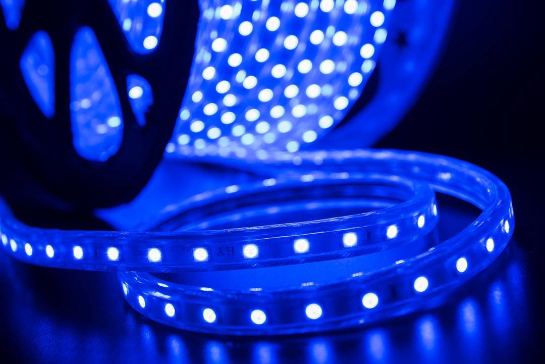 Светодиодная лента SWG LT560-B-50 000942