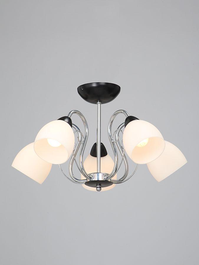 Потолочная люстра Vitaluce V3468/5PL