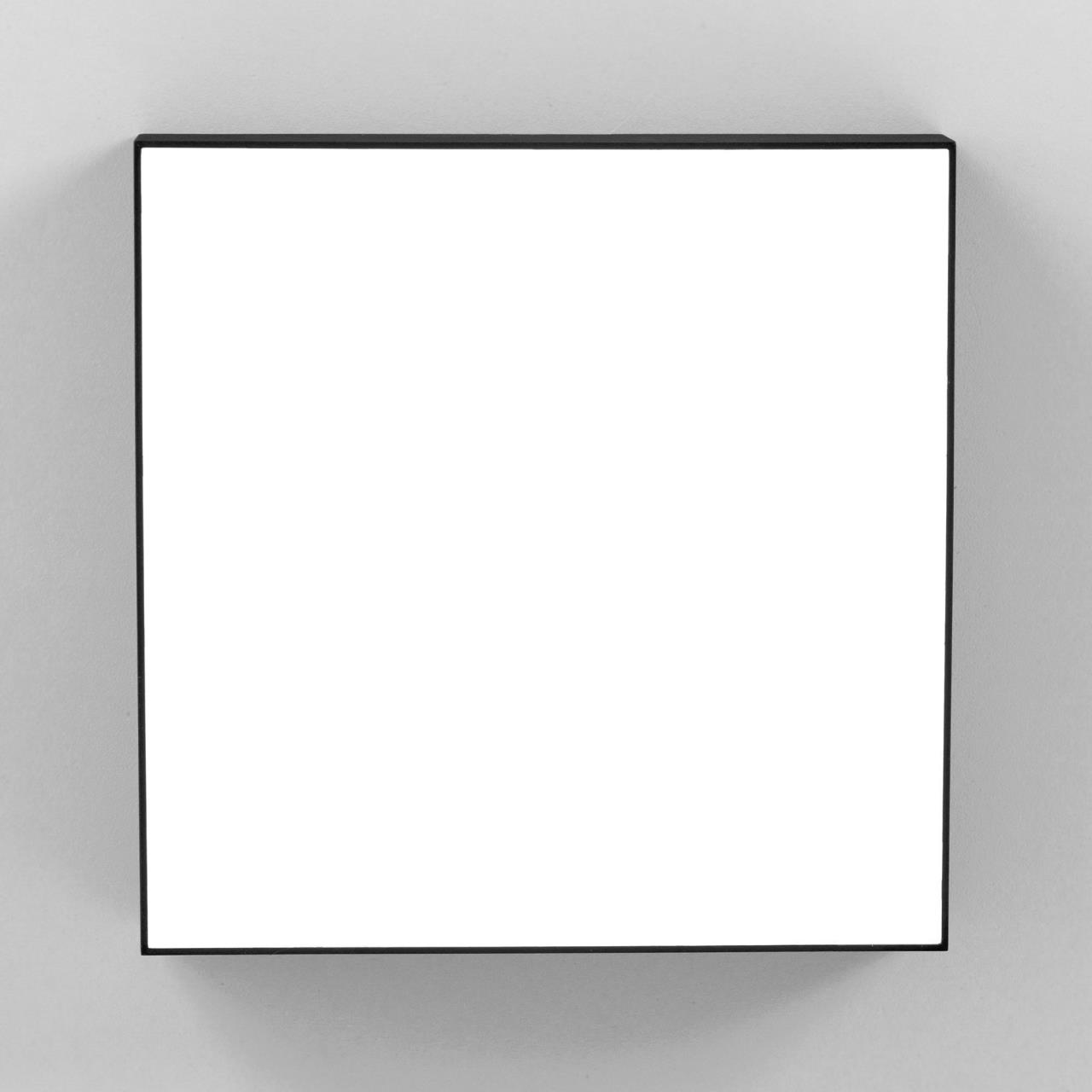 Накладной светодиодный светильник Citilux Тао CL712X242N в Москве