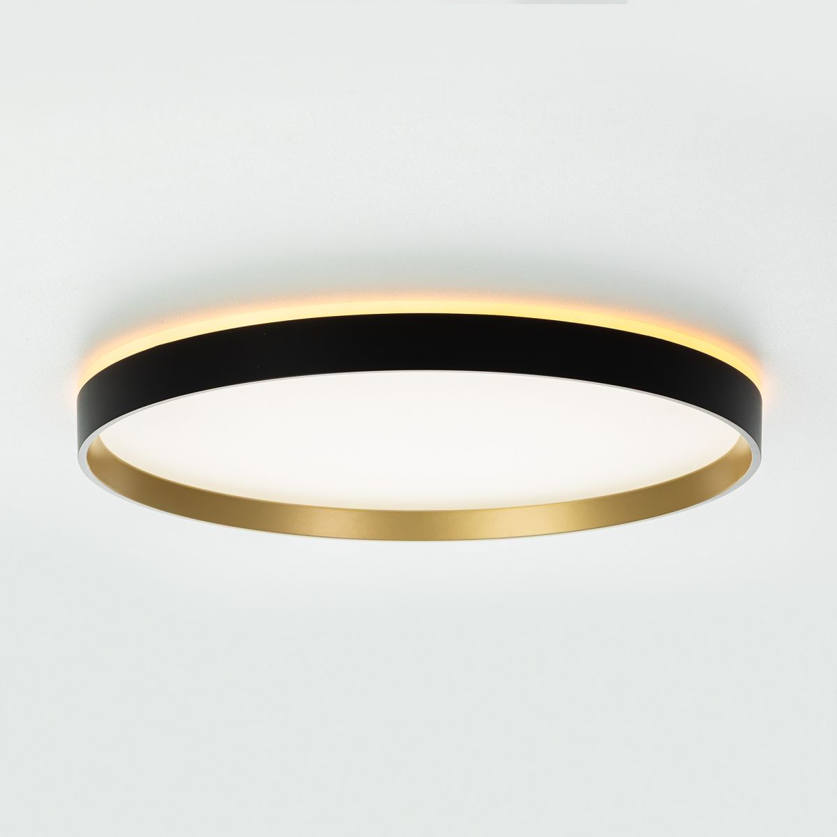 Потолочный светильник Citilux Etalon CL750401R