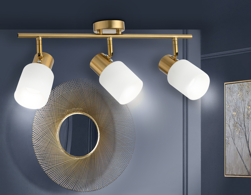 Спот Ambrella Light Traditional TR3972