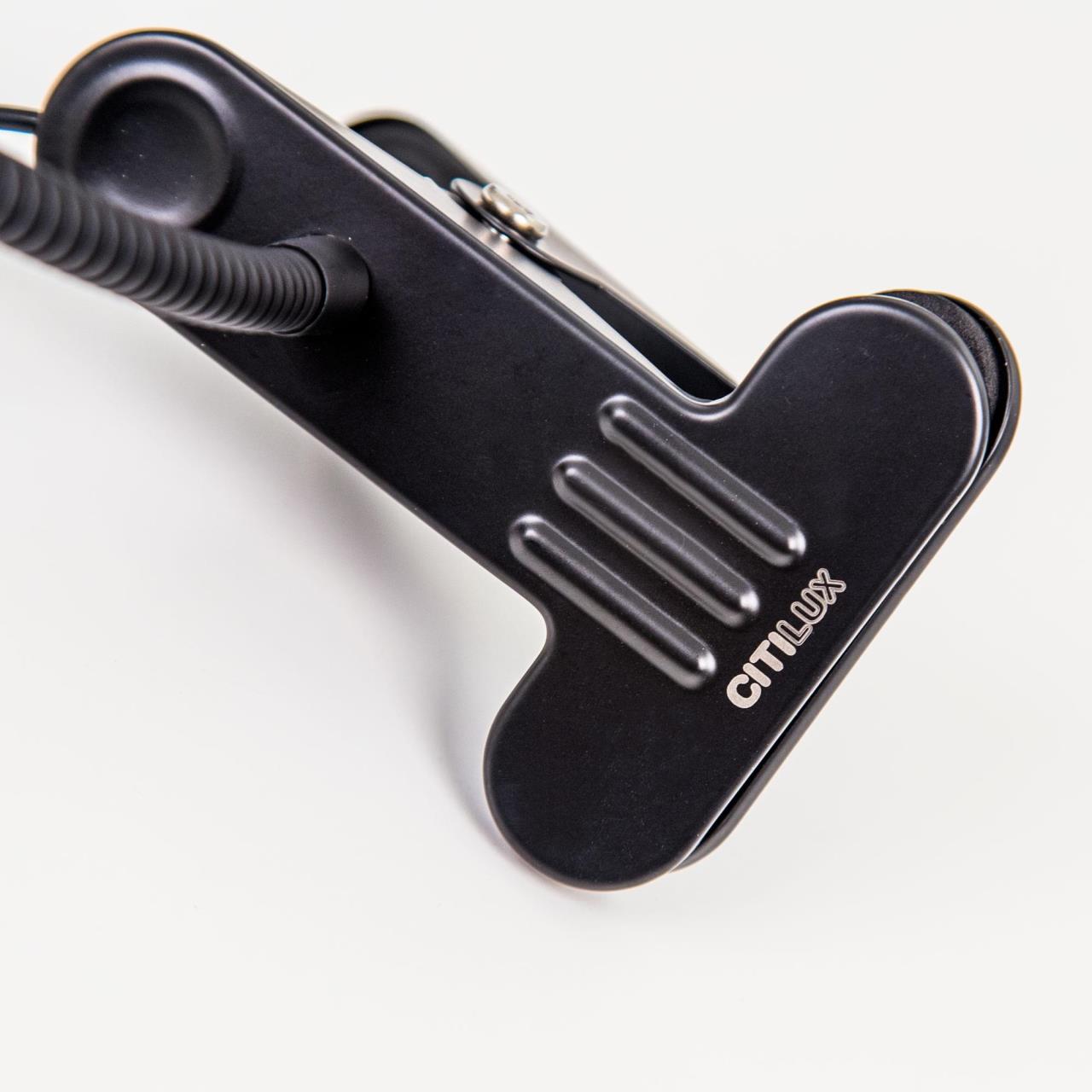 Настольная лампа Citilux Ньютон CL803061N в Москве