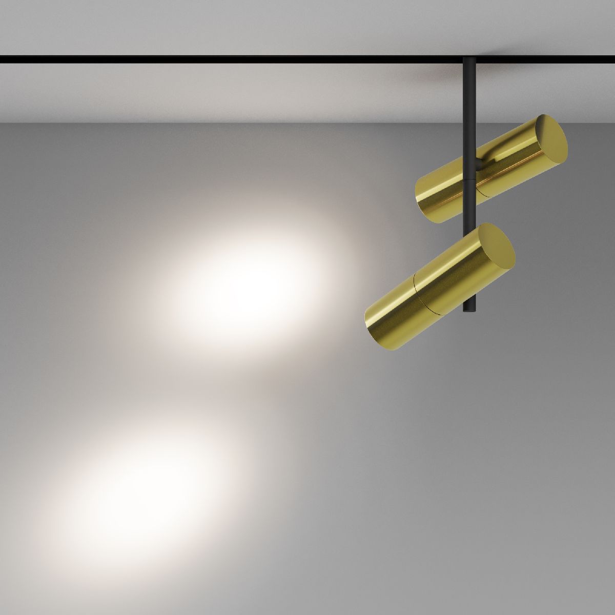 Трековый магнитный светильник Maytoni Elti Duo TR005-2-2X12W4K-BBS