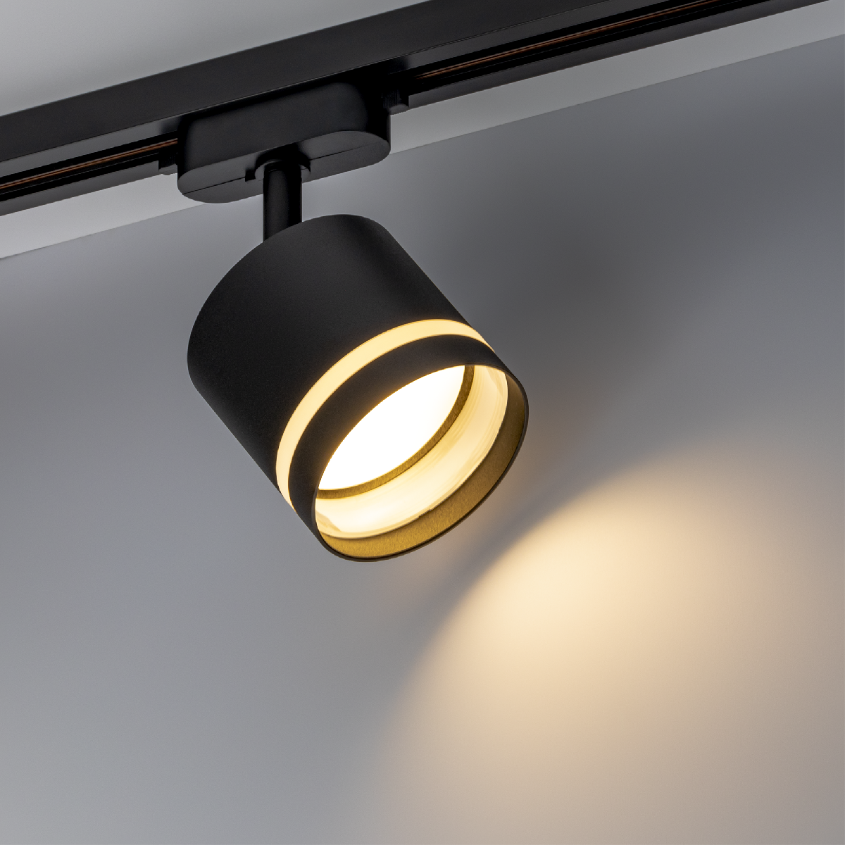 Трековый однофазный светильник Ritter Artline 59866 8