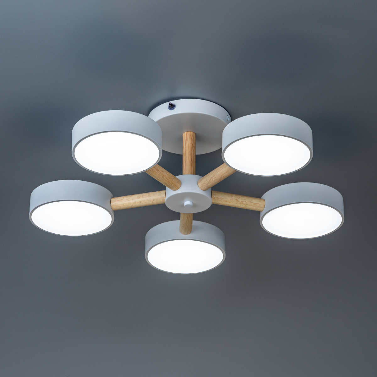 Люстра на штанге Ritter Scandia 51591 7