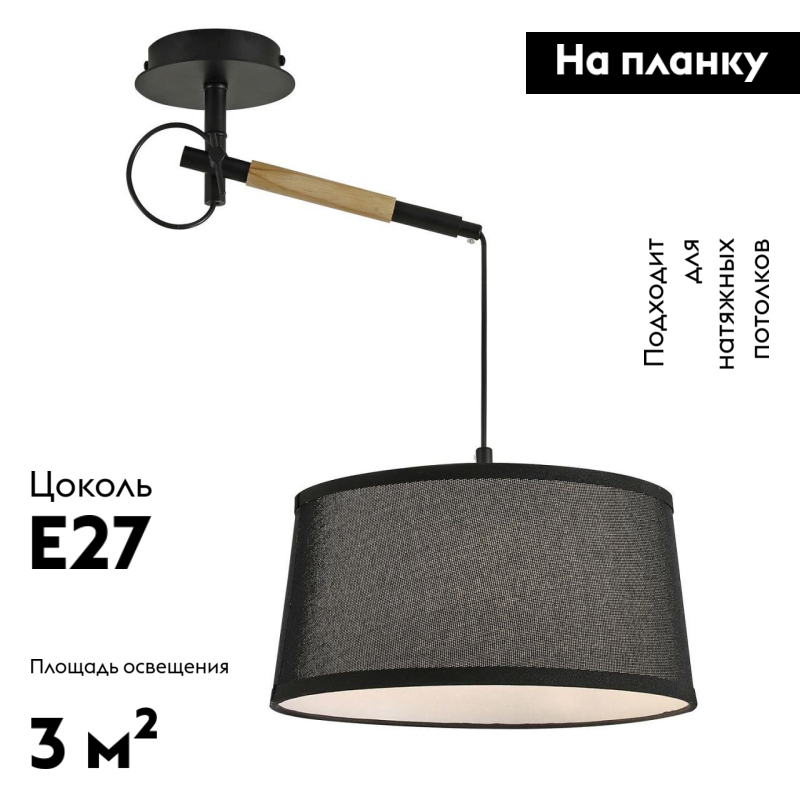 Настенно-потолочный светильник F-Promo Eureka 3006-1P