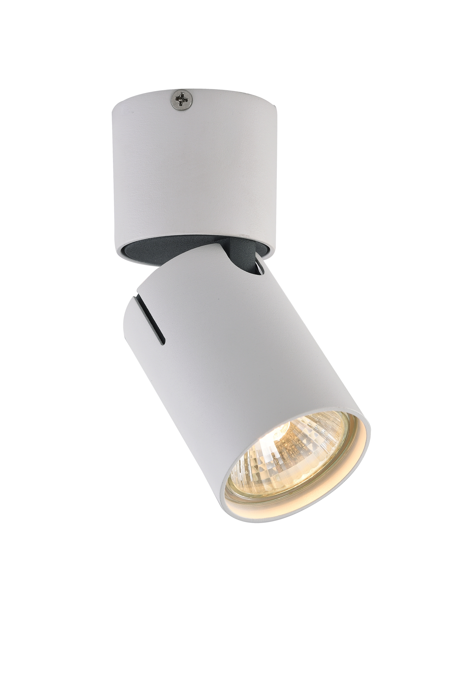 Спот Vele Luce Carrisi VL8061S21