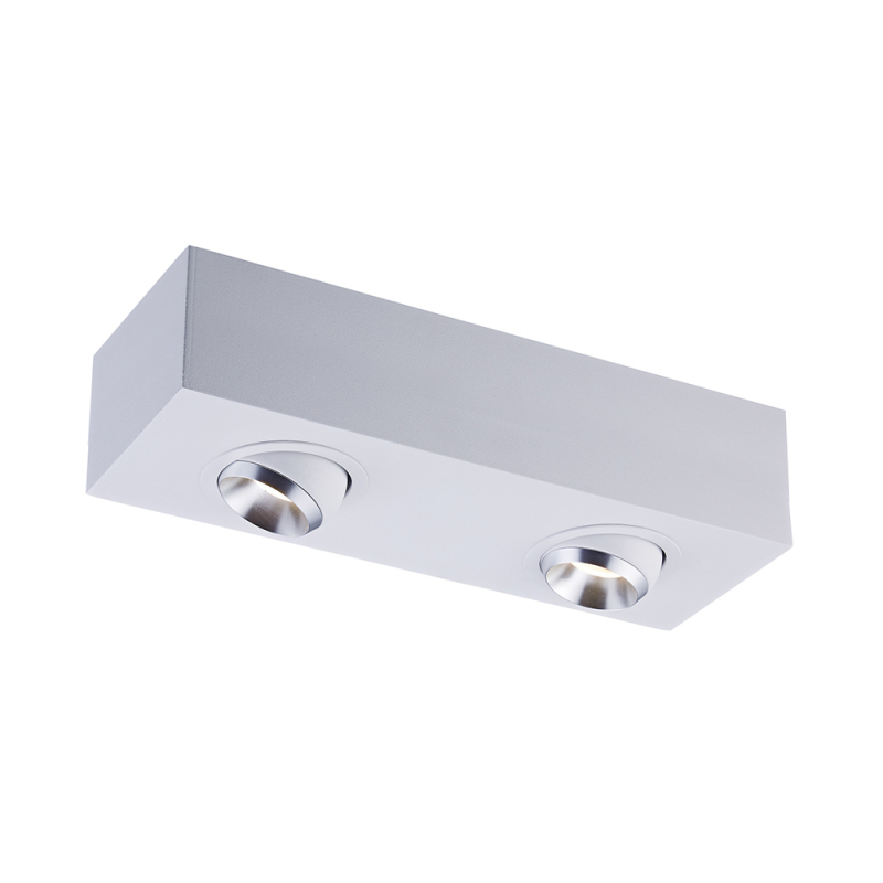 Потолочный светильник Zumaline MAC SL ACGU10-142