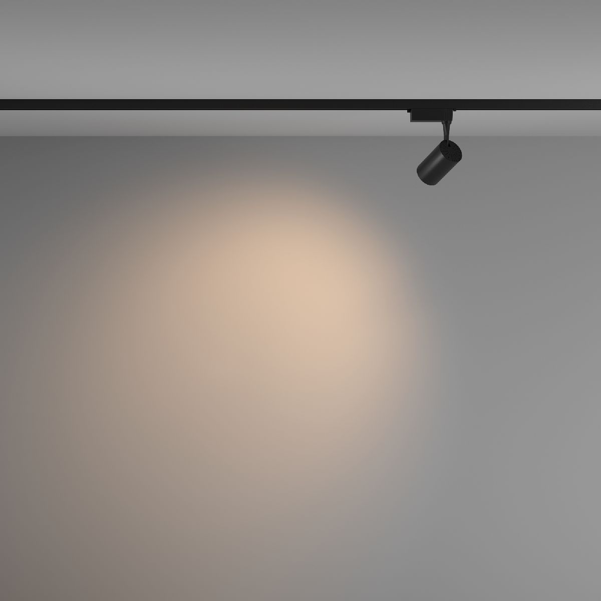 Трековый светильник Maytoni Technical Vuoro TR003-1-6W3K-W-B