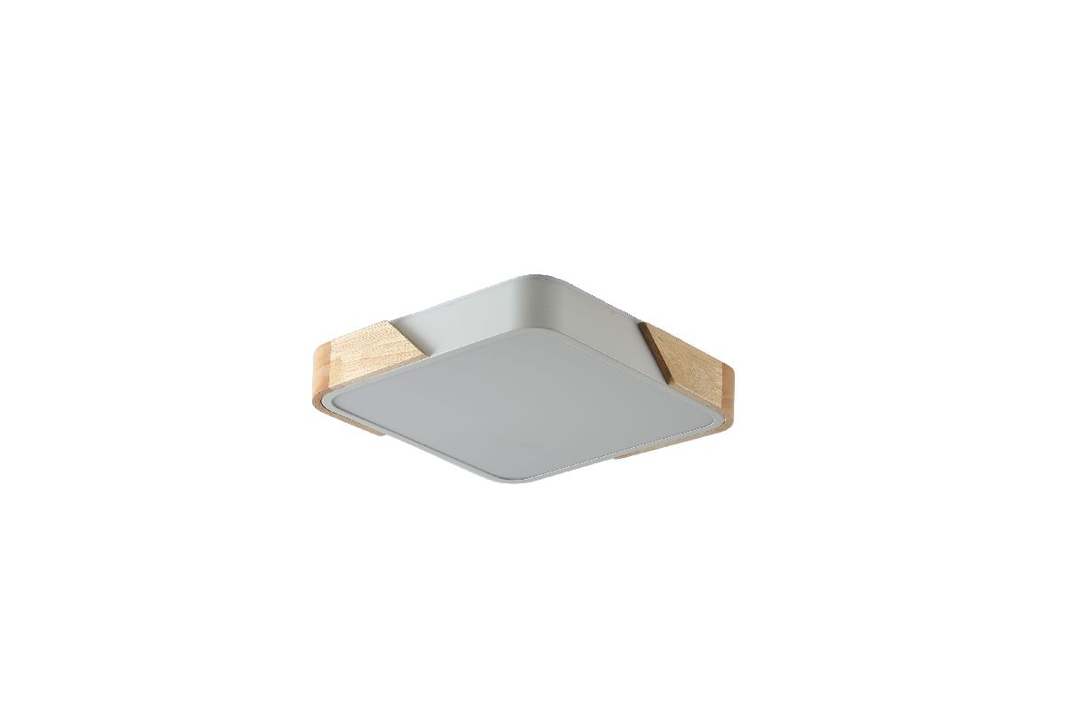 Потолочный светильник Zortes Alberro ZRS.01285.24