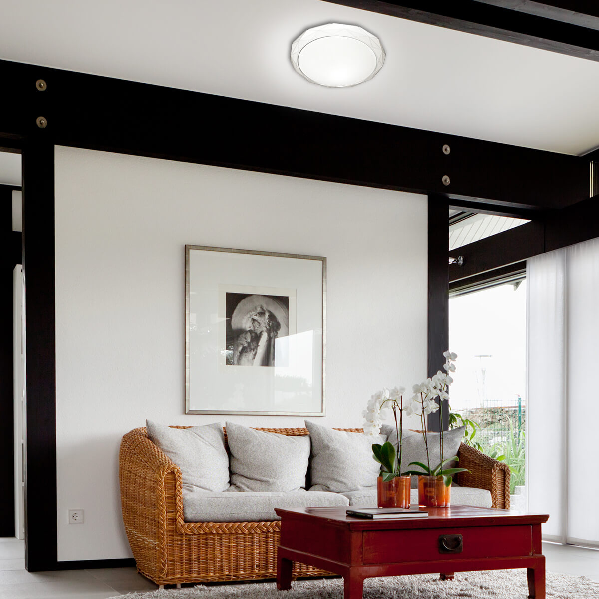 Настенно-потолочный светодиодный светильник Sonex Masio 2056/DL