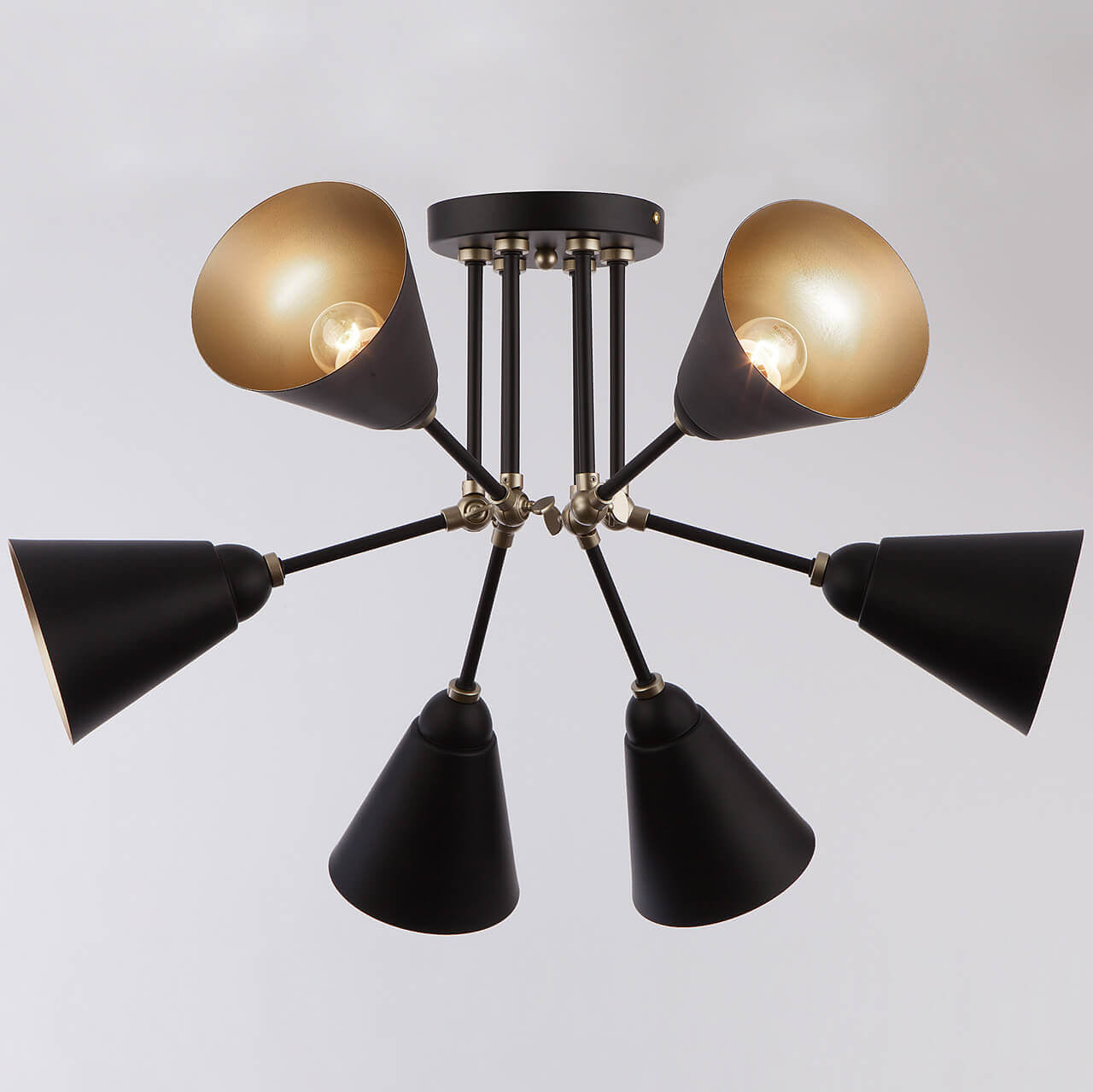 Потолочный светильник Eurosvet 70052/6 черный/золото