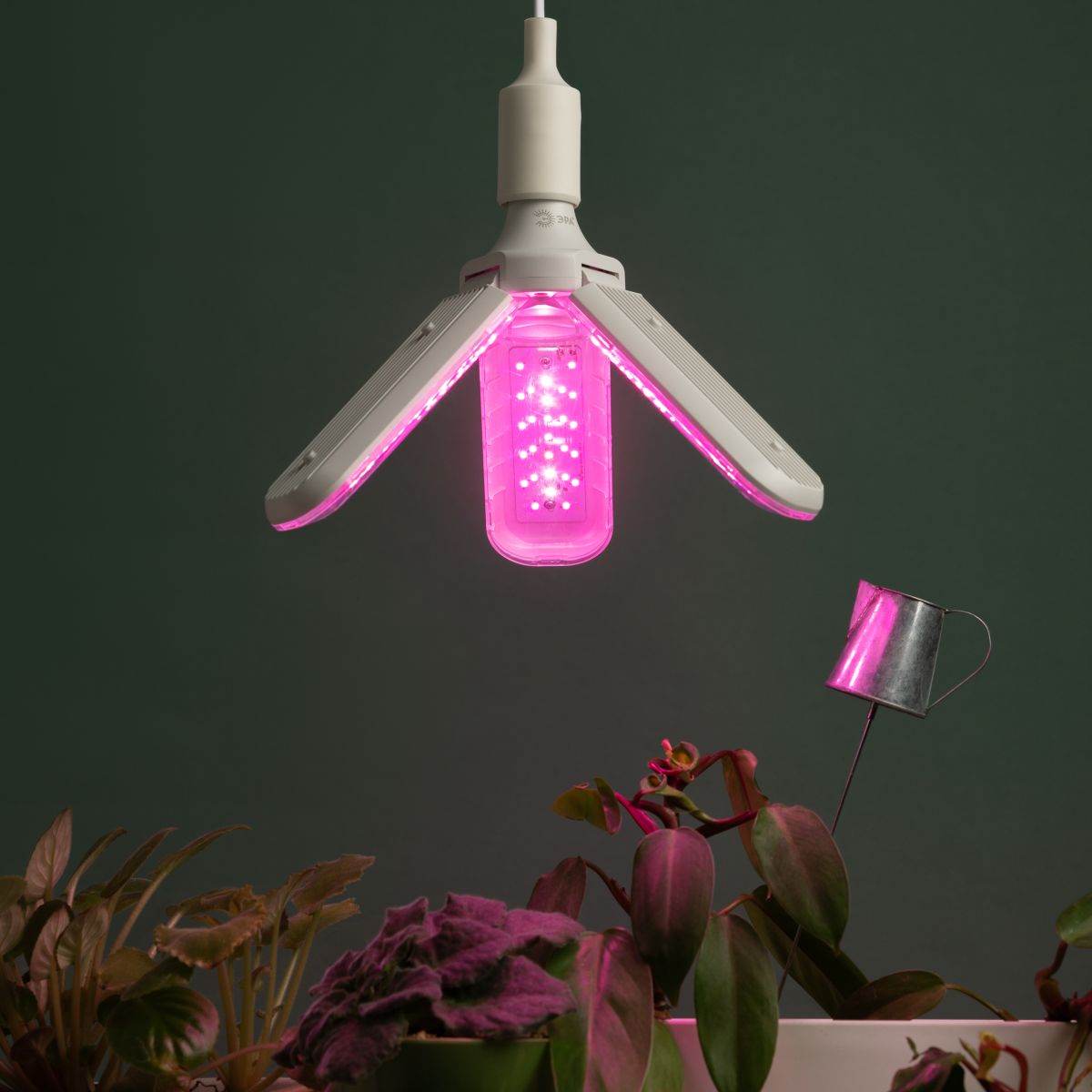 Светодиодная фитолампа для растений Эра ФИТО-30W-PL-E27-GR Б0064542