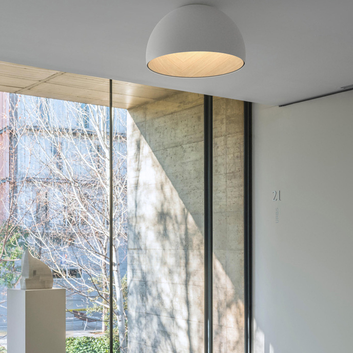 Потолочный светильник ImperiumLoft Bara 223999-23