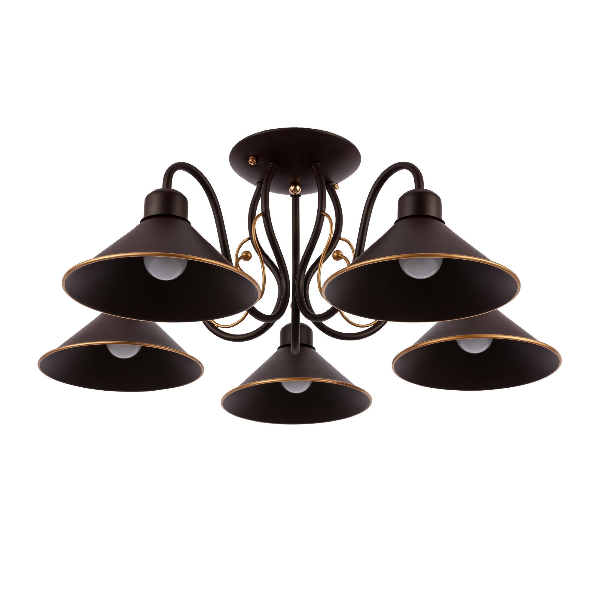 Потолочный светильник EVOLUCE CIOLLA SLE120402-05