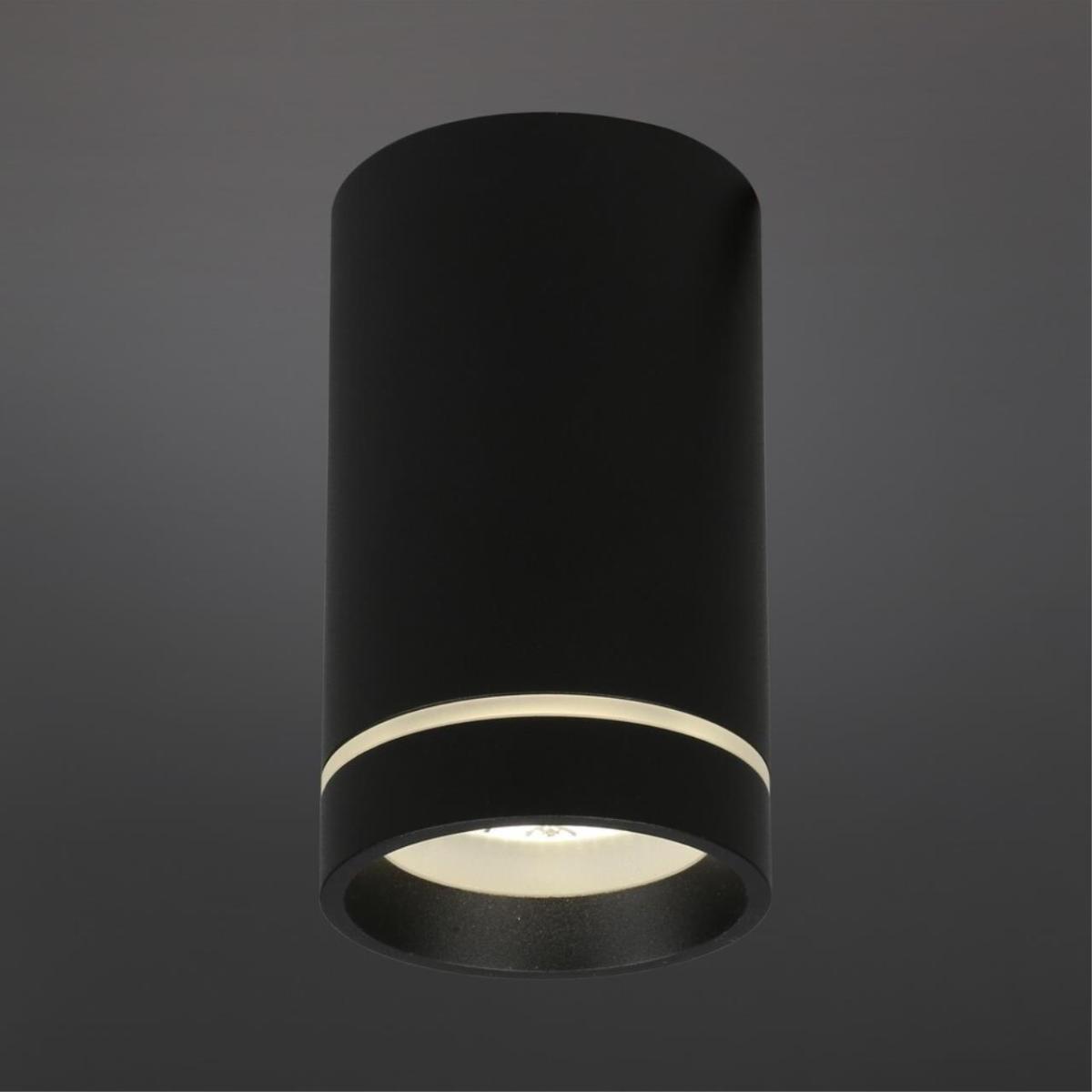 Потолочный светильник Aployt Edda APL.0054.19.10