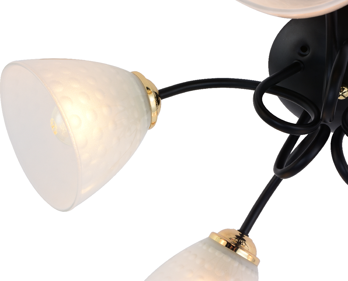 Потолочная люстра Rivoli Luiza 9140-305 Б0054904