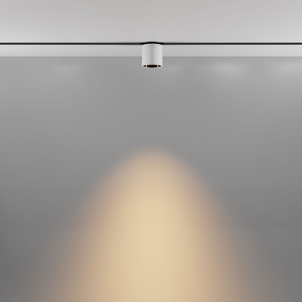 Трековый магнитный светильник Maytoni Alfa S TR132-2-7W3K-W