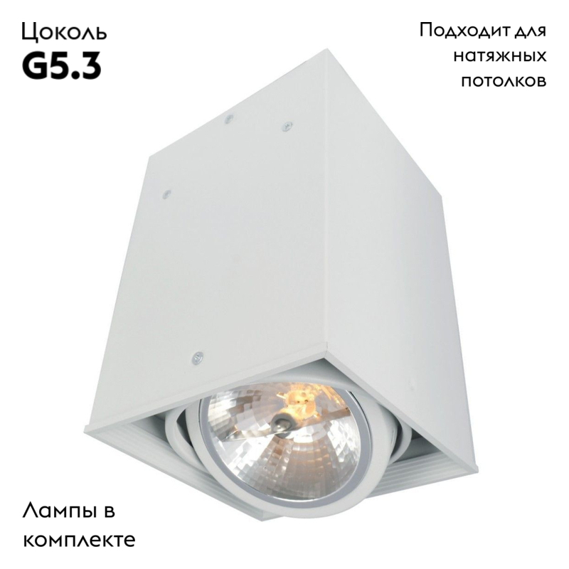 Потолочный светильник Arte Lamp Cardani A5936PL-1WH