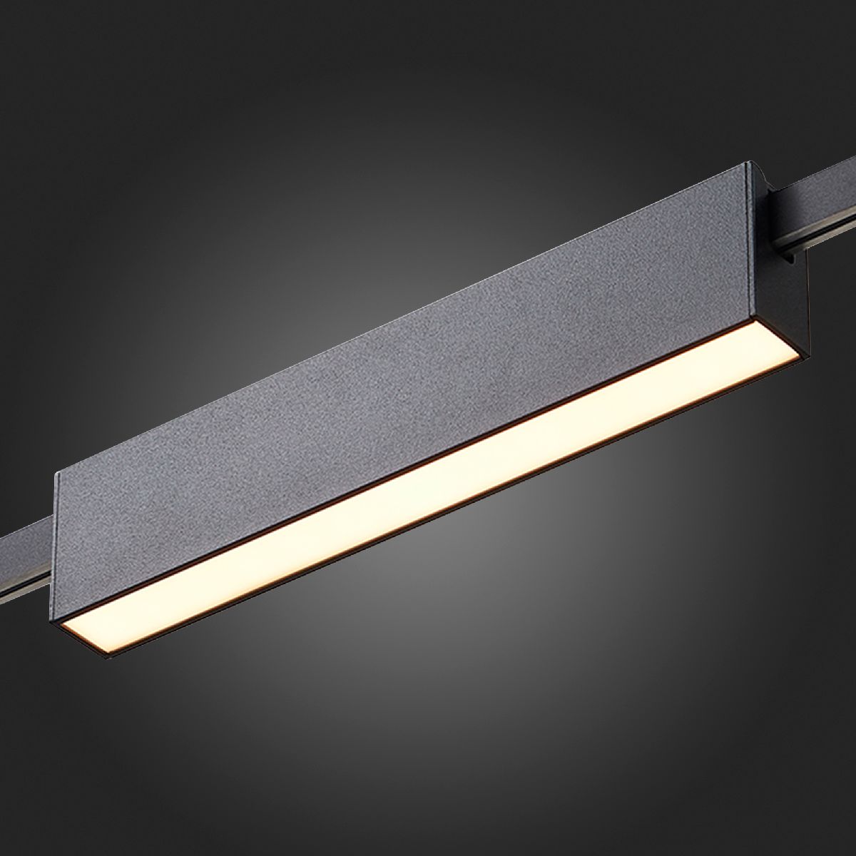 Трековый магнитный светильник ST Luce Farm ST817.406.12