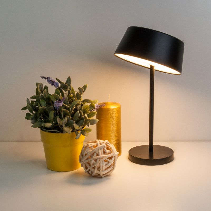 Настольная лампа Eurosvet APOLLO 80424/1 черный