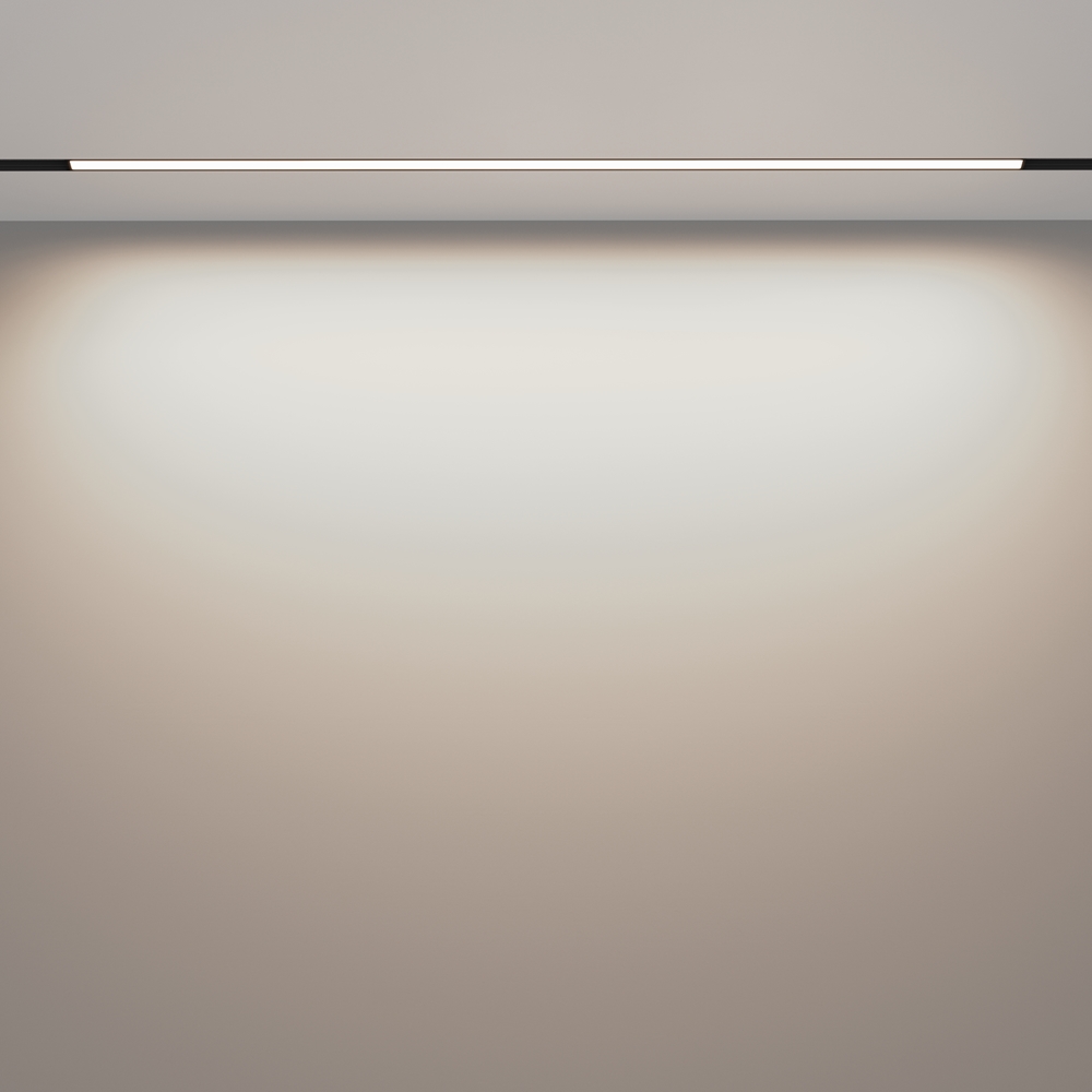 Трековый светильник Maytoni Technical Magnetic track system Exility Basis TR030-2-30W4K-B