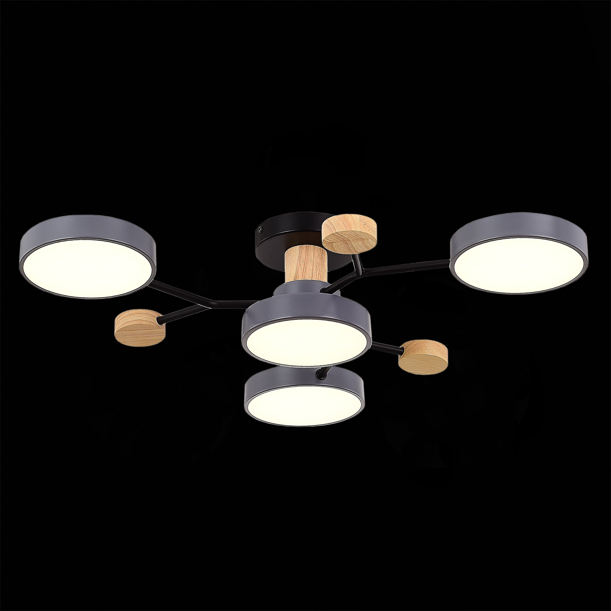 Люстра на штанге Evoluce Faema SLE6006-702-04