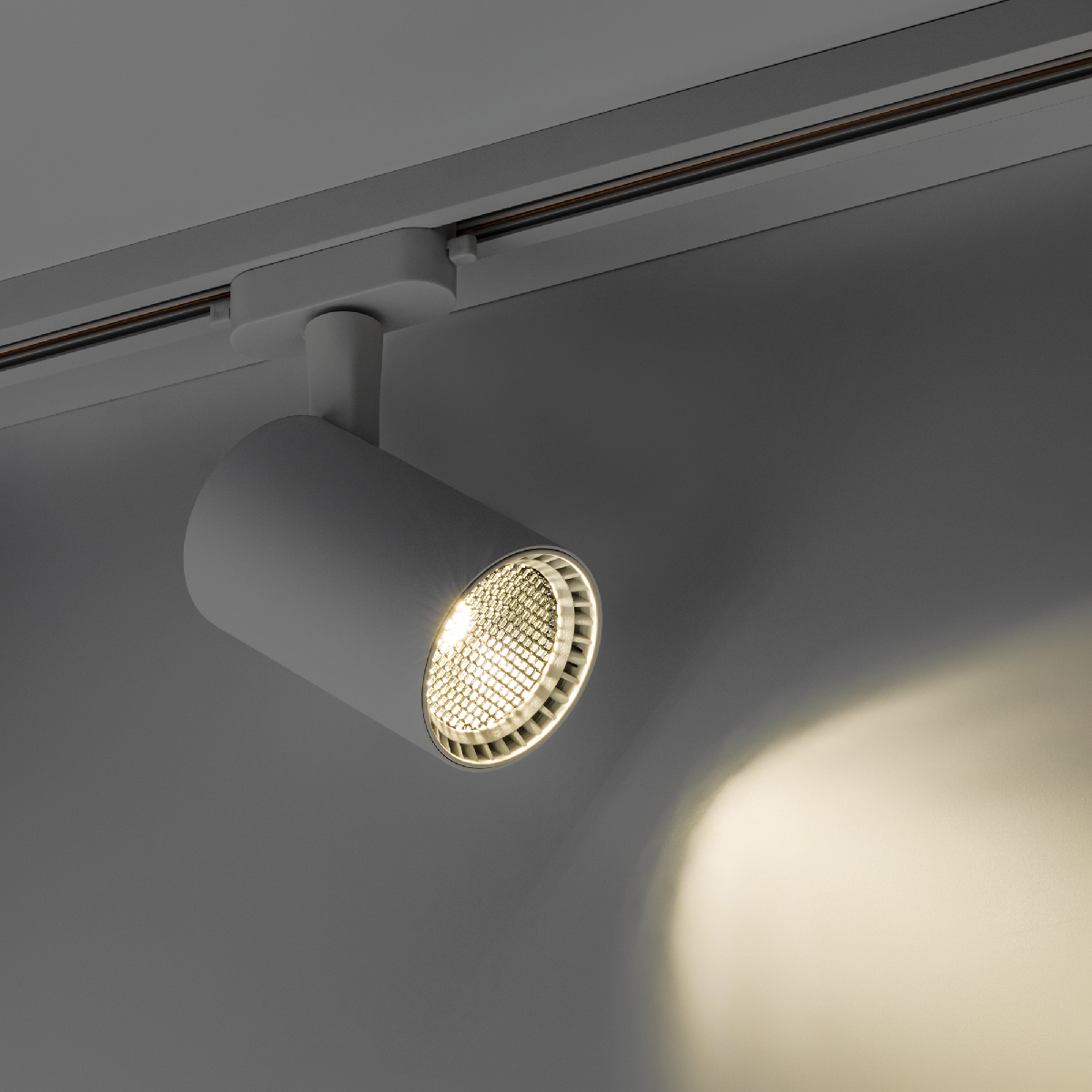 Трековый однофазный светильник Ritter Artline 59733 3