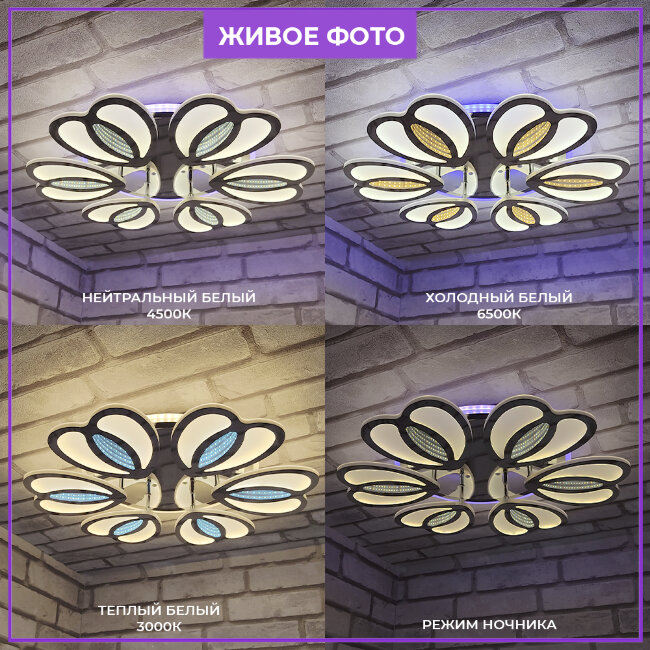 Потолочная люстра Seven Fires Sardara SF7042/7C-CR