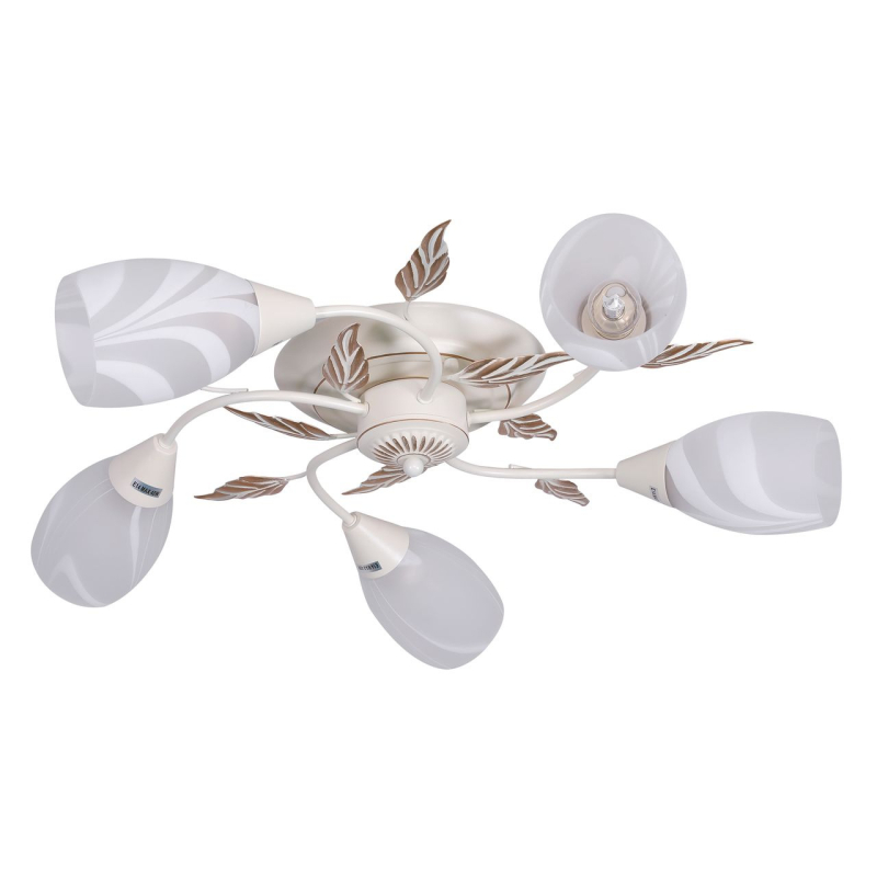 Потолочная люстра F-Promo Plato 2444-5U