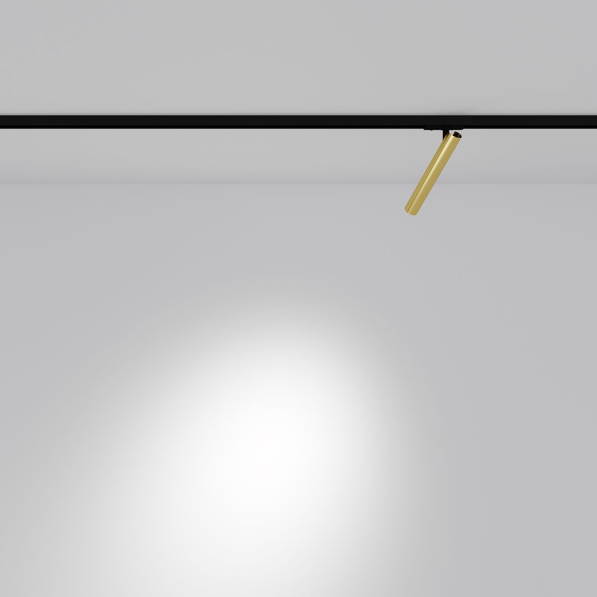 Трековый однофазный светильник Maytoni Focus T TR141-1-6W4K-M-BS