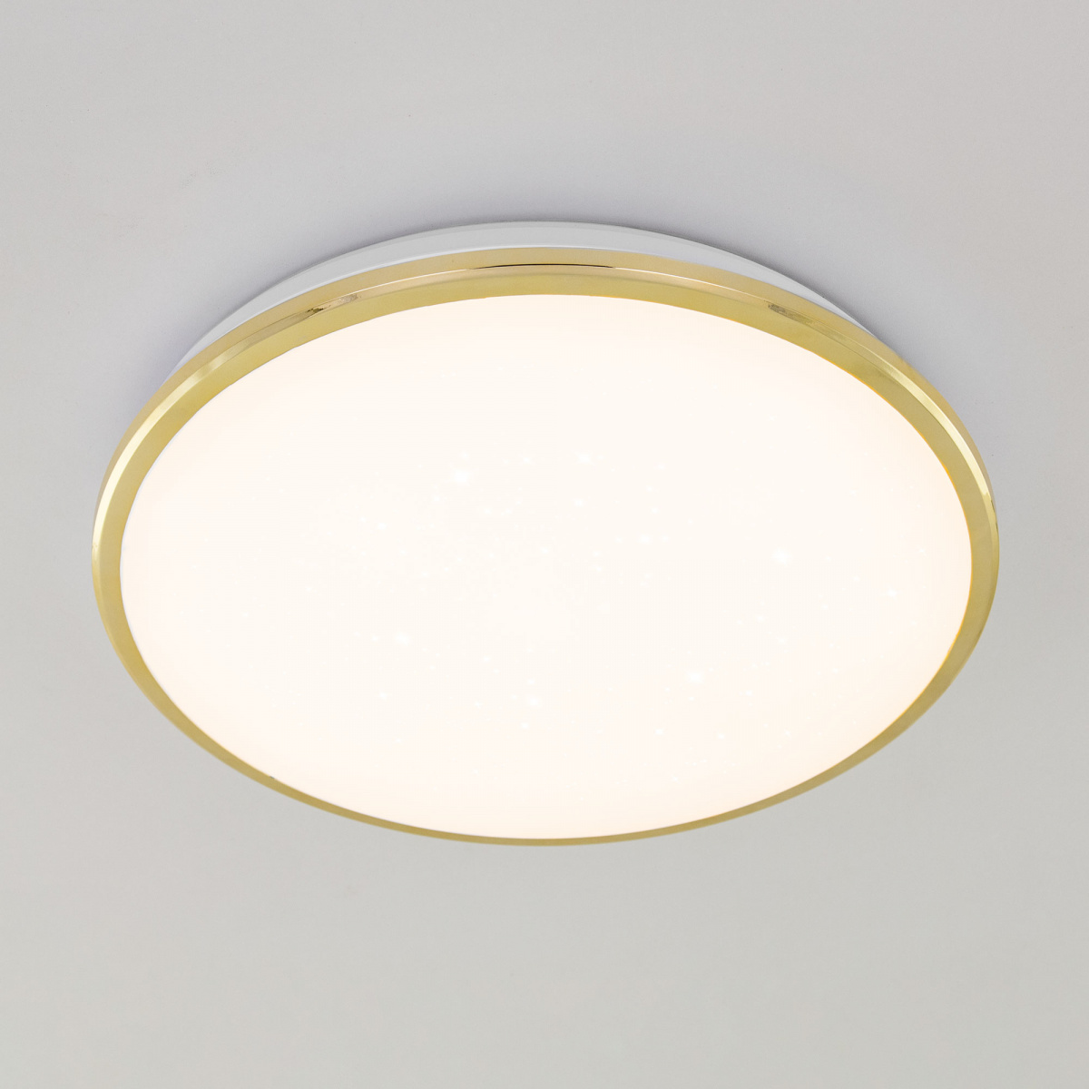 Настенно-потолочный светильник Citilux Луна CL702302Wz