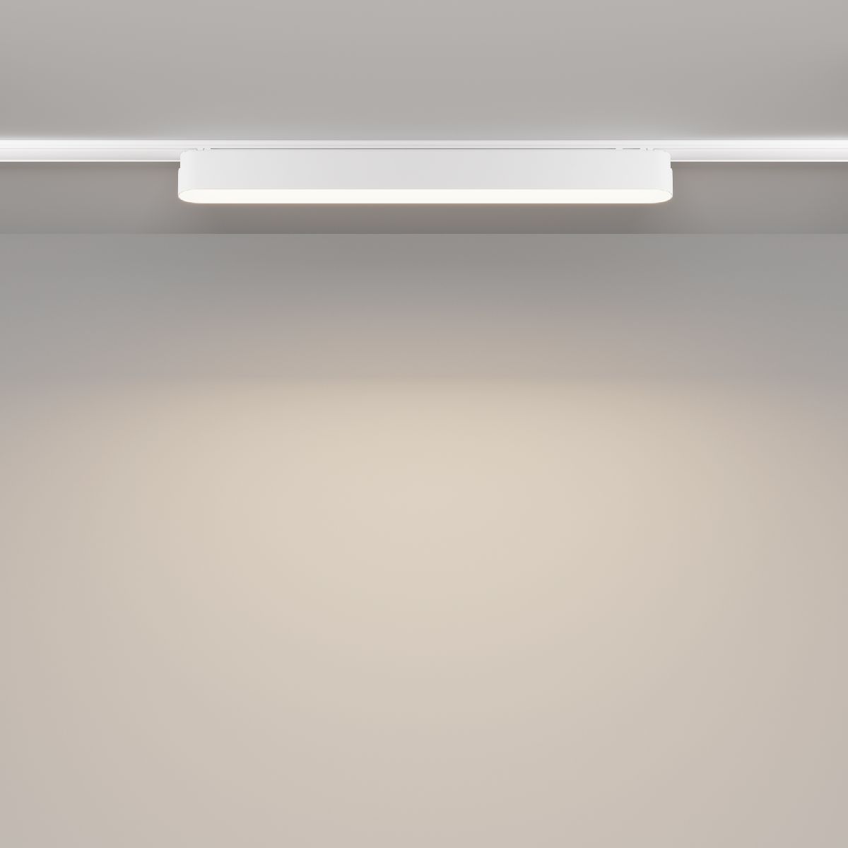 Трековый магнитный светильник Maytoni Basis TR080-1-18W4K-W