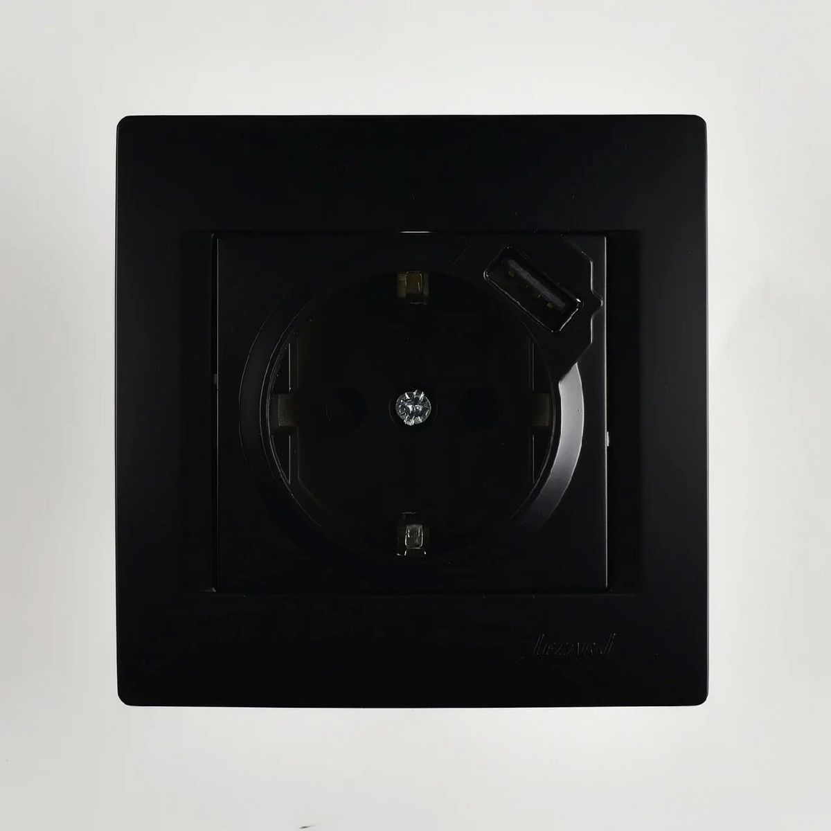 Розетка с/з + USB Lezard Karina 707-4288-181