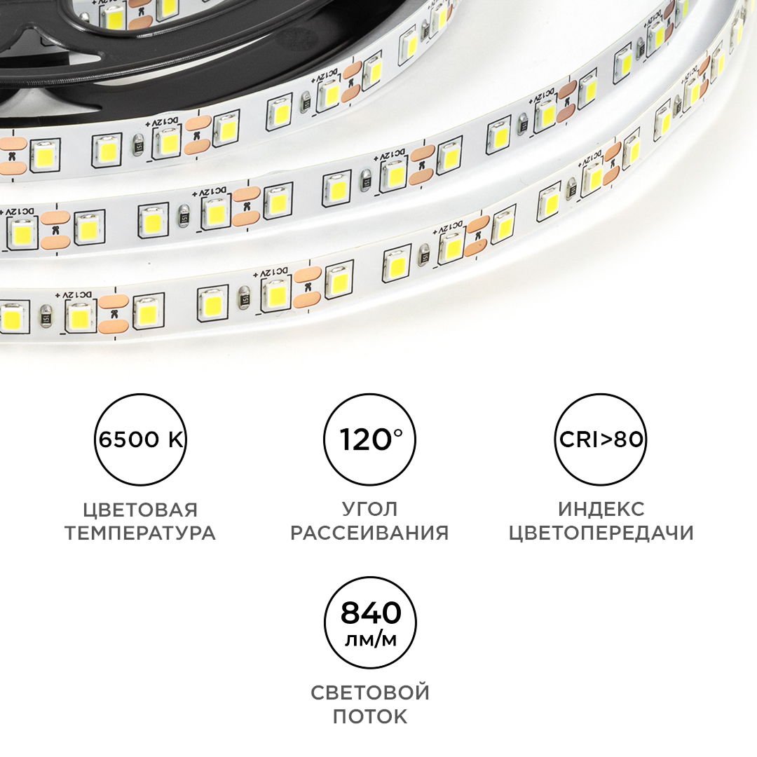 Светодиодная лента OGM 12В 2835 9,6Вт/м 6500К 840Лм/м 5м IP20 LSE-258
