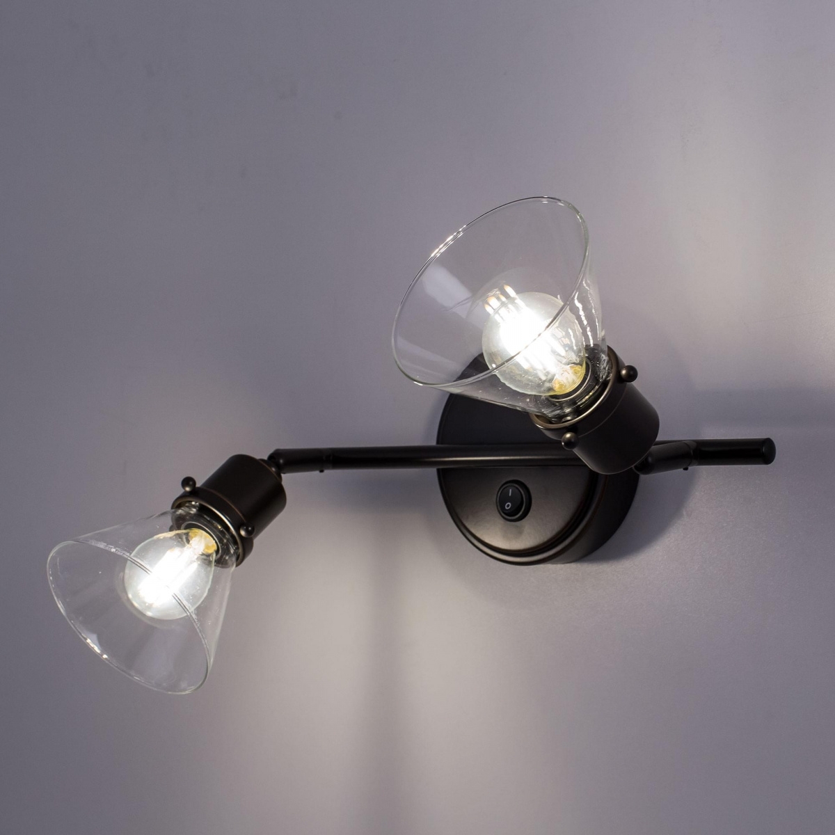 Спот Citilux Бисмарк CL564521