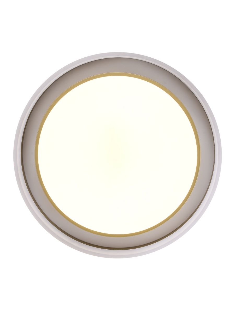 Потолочный светильник Zortes Adel ZRS.1200.01